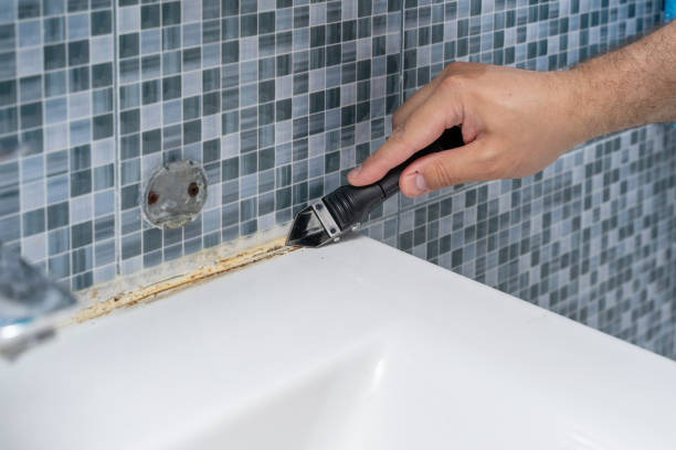 Best Residential Mold Remediation in West Portsmouth, OH